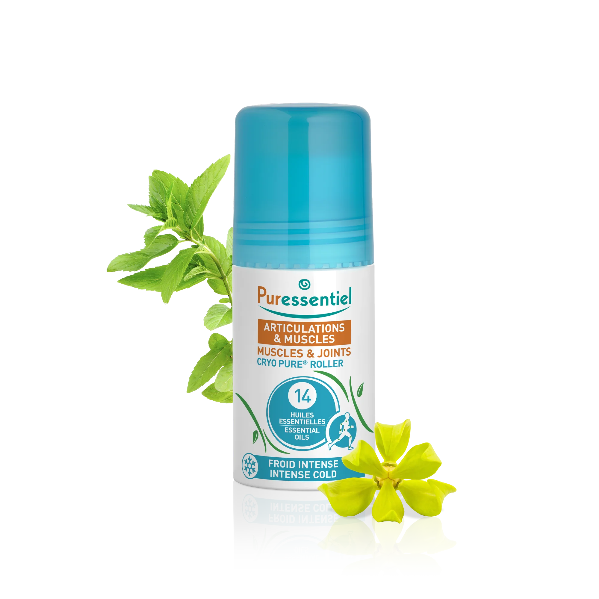 PURESSENTIEL – Articulations Et Muscles Cryo Pure Roll-on – 75ml